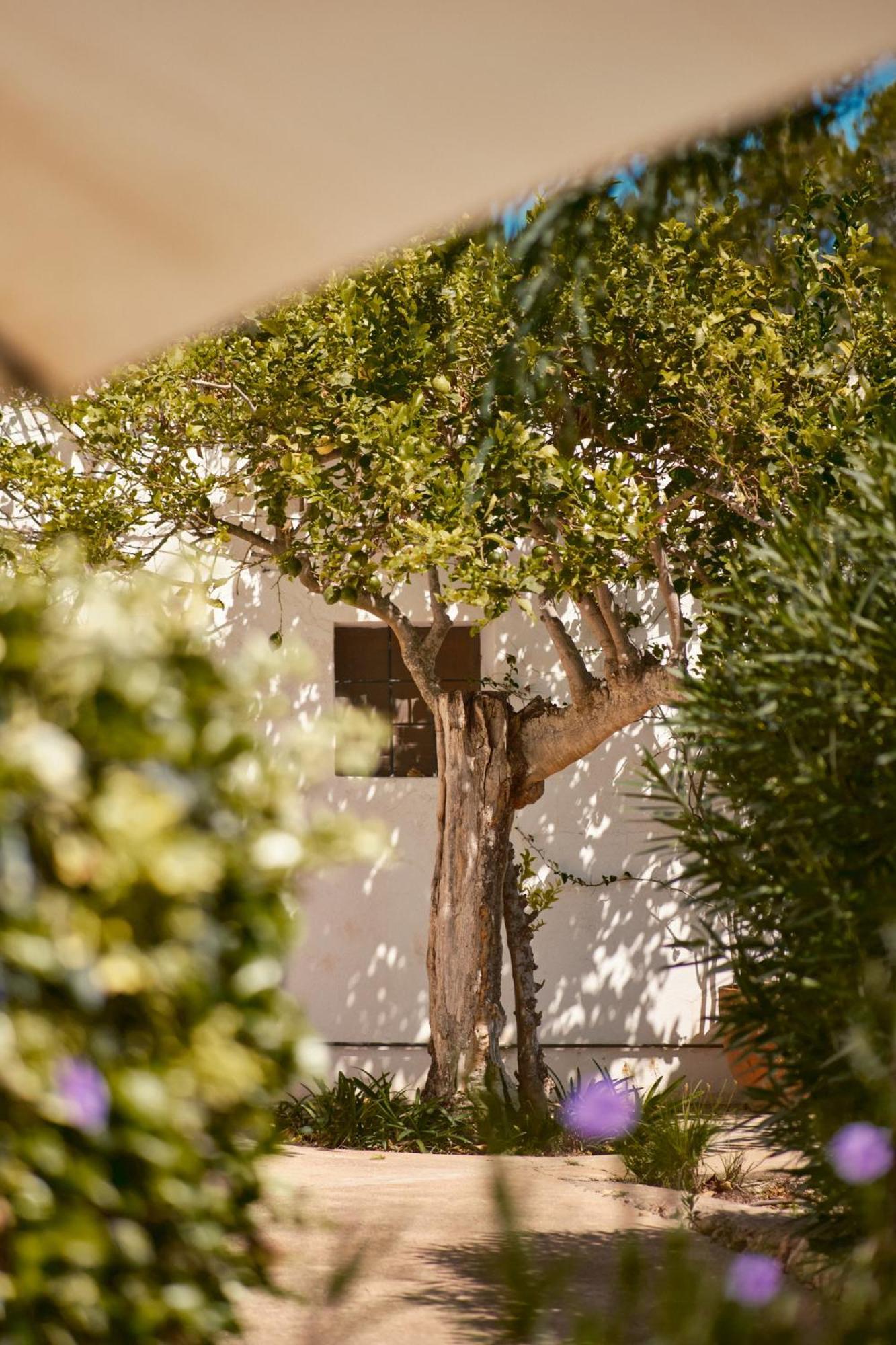 The Guardian House Hotel Santa Gertrudis  Exterior foto