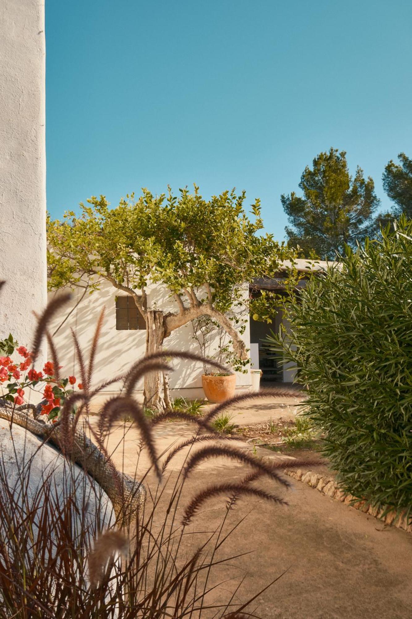 The Guardian House Hotel Santa Gertrudis  Exterior foto